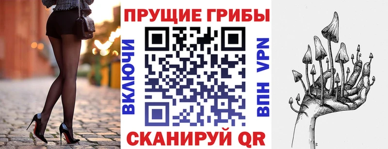 Псилоцибиновые грибы Magic Shrooms  закладка  Чудово 
