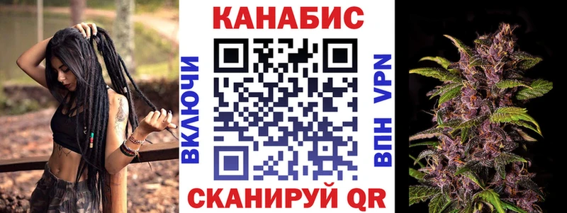 Канабис сатива  как найти закладки  Чудово 
